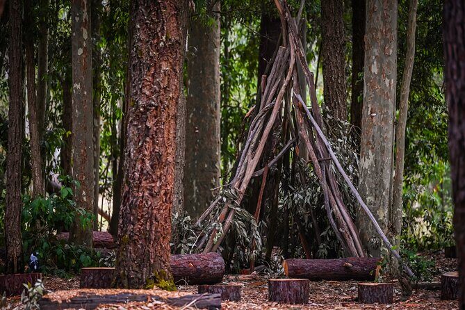 Zipline over the Heysen Trail & Through the Pines of Kuitpo - Final Thoughts