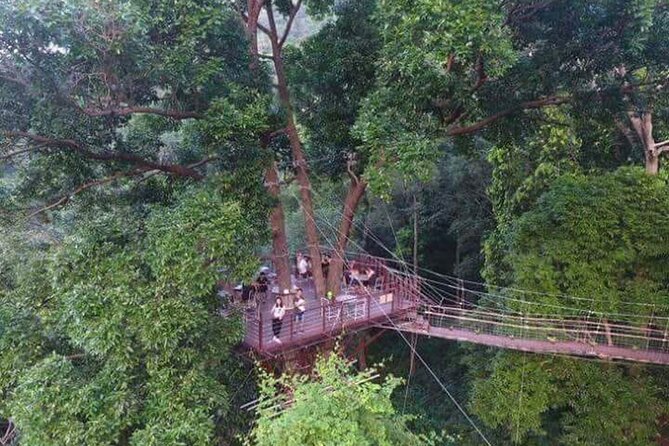 Zipline Ride on Koh Samui - Additional Information