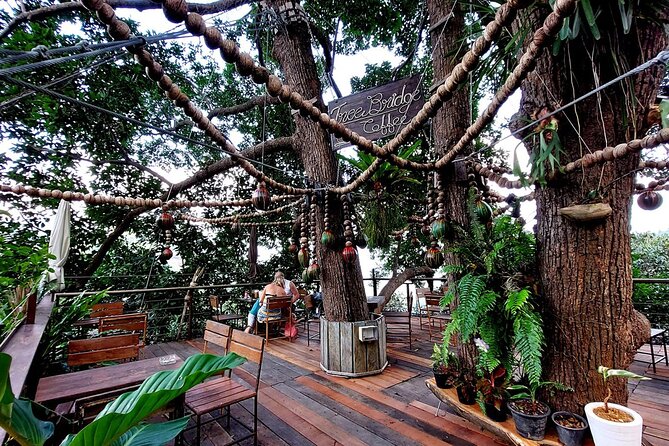 Zipline Ride on Koh Samui - Aerial Views of Koh Samui