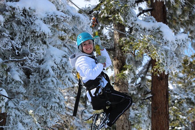 Zipline Tour - 9 High-Speed Ziplines & Fun Suspension Bridge - Safety and Accommodations