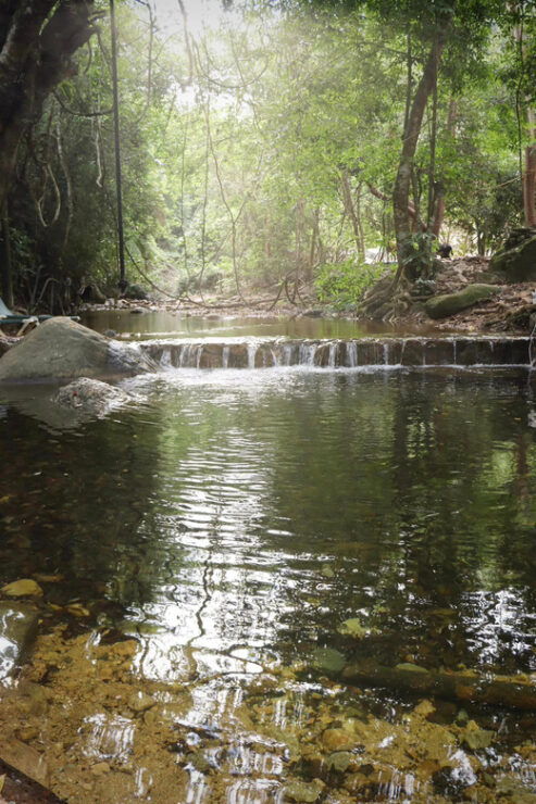 Zipline Tour in the Amazing Ecopark + Waterfall, Vallarta - Good To Know
