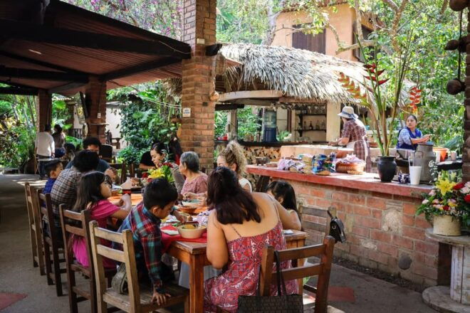 Zipline Tour in the Amazing Ecopark + Waterfall, Vallarta - Tequila Tasting Delight
