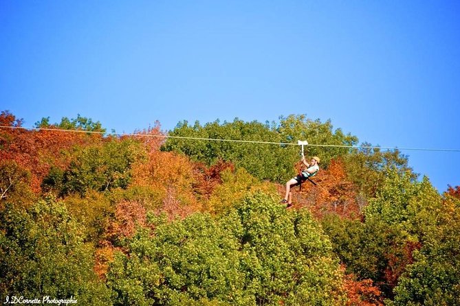 Ziplines Over Laurentian Mountains at Mont-Catherine - Overview and Details