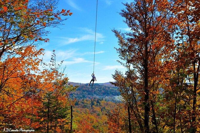 Ziplines Over Laurentian Mountains at Mont-Catherine - Zipline Course Description