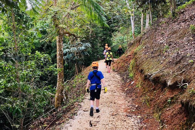 Ziplines Plus the NEW ToroBikes Pick up Included - The Sum Up
