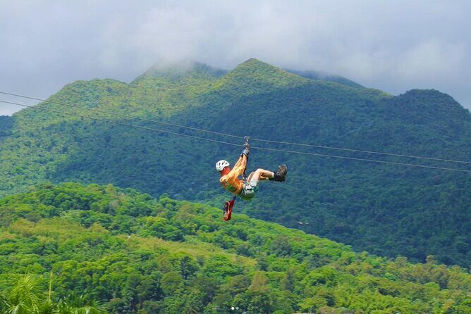 Ziplining at the Rainforest in Puerto Rico - The Activities: From Ziplines to Rappelling