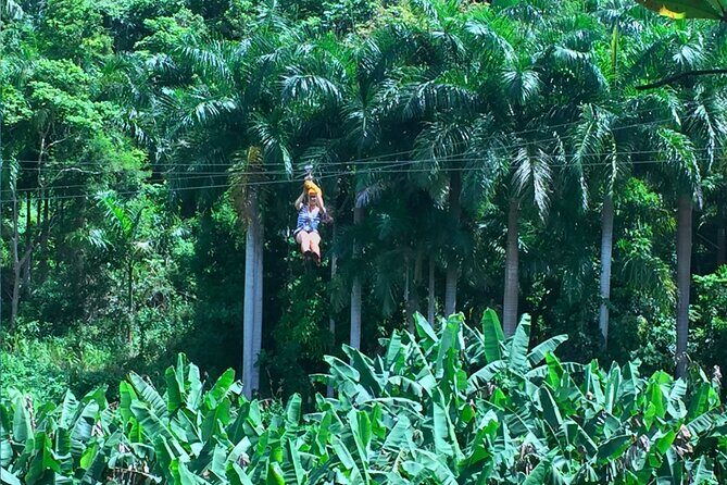 Ziplining at the Rainforest in Puerto Rico - Snacks and Logistics