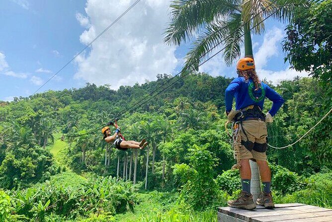 Ziplining at the Rainforest in Puerto Rico - Timing and Group Size