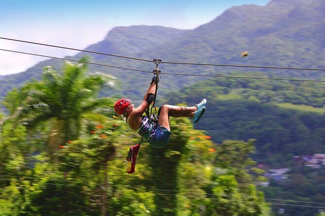 Ziplining at the Rainforest in Puerto Rico - Authentic and Well-Reviewed