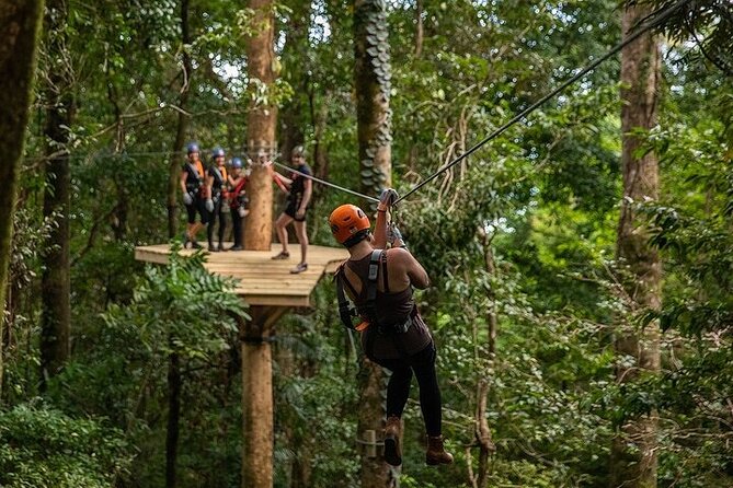 Ziplining Cape Tribulation With Treetops Adventures - Inclusions and Gear Provided