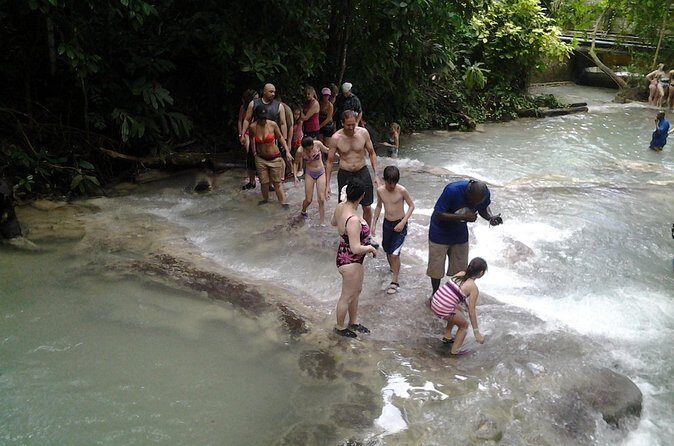 Ziplining Dunn's River falls Adventure from Ocho Rios - The Sum Up