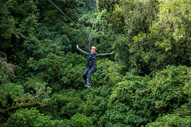 Ziplining Forest Adventure - The Original Canopy Tour Rotorua - Zipline Adventure in a Centuries-Old Forest Canopy