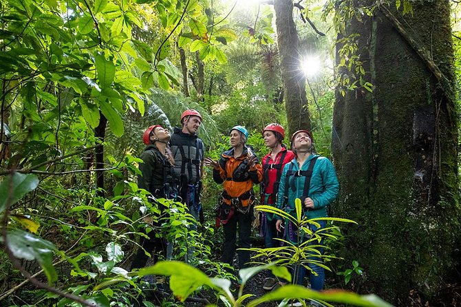 Ziplining Forest Adventure - The Original Canopy Tour Rotorua - Expert Guides and Safety Equipment Provided