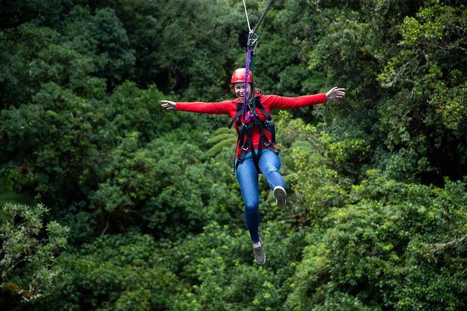 Ziplining Forest Adventure - The Original Canopy Tour Rotorua - The Sum Up