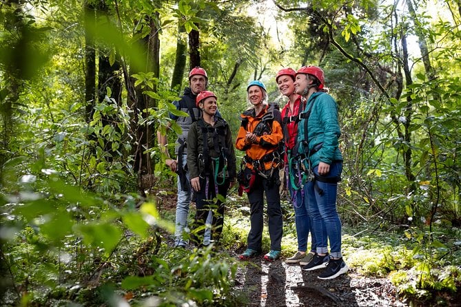 Ziplining Forest Experience - The Ultimate Canopy Tour Rotorua - Tour Highlights