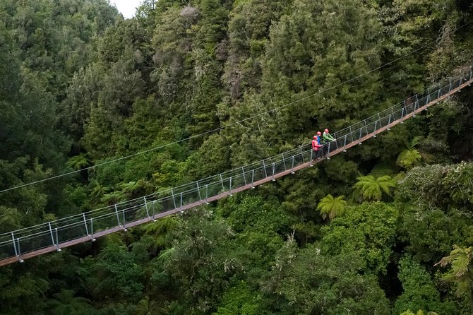 Ziplining Forest Experience - The Ultimate Canopy Tour Rotorua - Viator Help Center