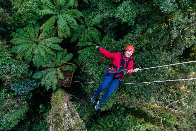 Ziplining Forest Experience - The Ultimate Canopy Tour Rotorua - Common Questions