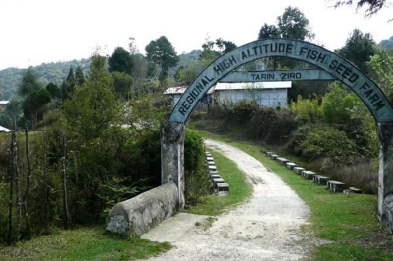 Ziro in a Day: Culture, Craft & Countryside Adventure Tour - Good To Know