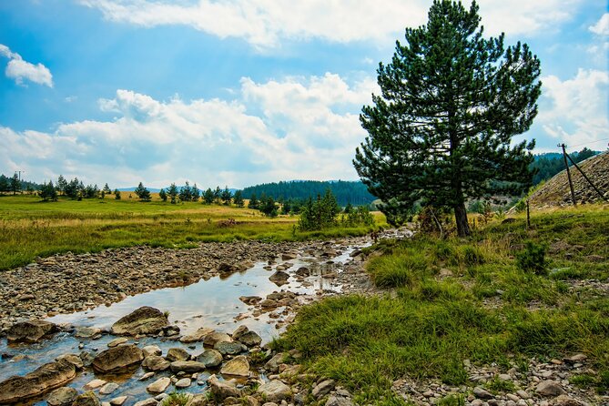 Zlatibor Mountain Full Day Private Tour From Belgrade - Price and Booking Information