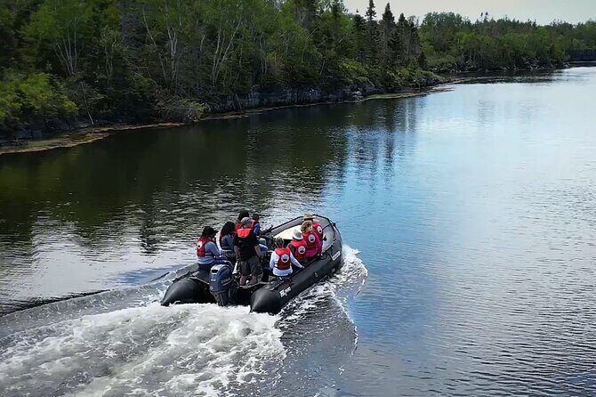 Zodiac Coastal Tour with Naturalist Guide: Lunenburg - Good To Know