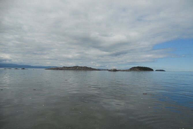 Zodiac Discovery of the Kamouraska Islands - The Sum Up