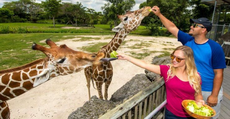 Zoo Miami: General Admission Ticket - Ticket Information