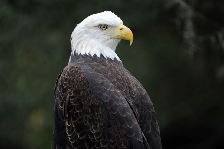 Zoo Miami: General Admission Ticket - Zoo Experience