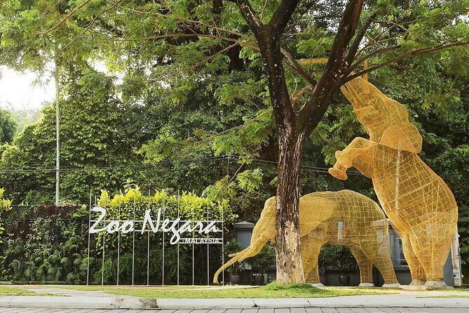 Zoo Negara and Panda Conservation Centre Tickets - Zoo Negara and Panda Conservation Centre Tickets Review