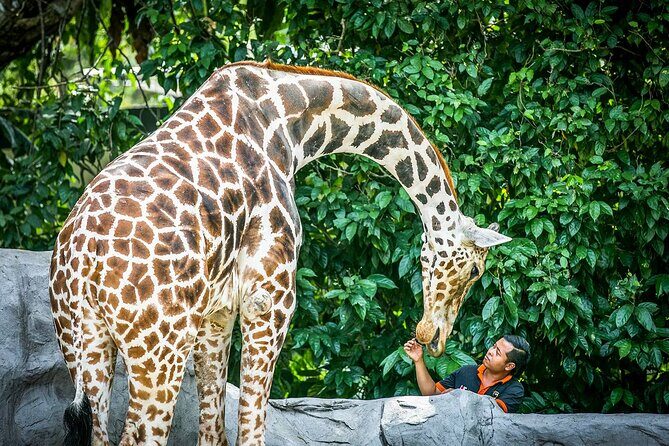 Zoo Negara and Panda Conservation Centre Tickets - The Sum Up