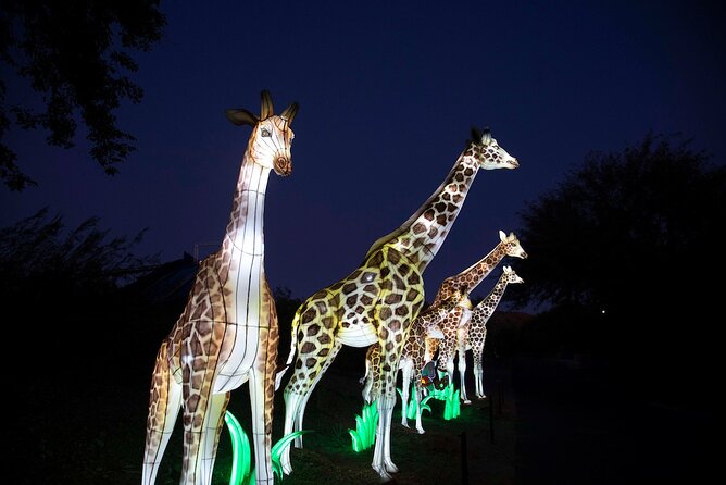 ZooLights Phoenix Zoo - Important Reminders and Guidelines