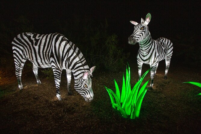 ZooLights Phoenix Zoo - Common Questions
