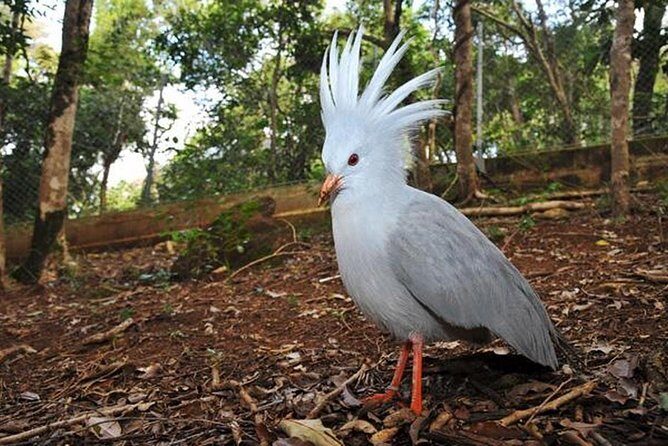 Zoological and Forestry Park Admission Ticket - What the Tour Entails  