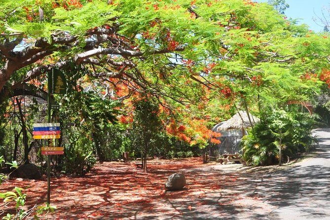 Zoological and Forestry Park Admission Ticket - The Main Highlights  