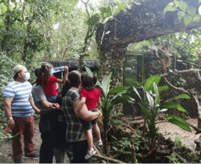 Zoological Park - Aluxes Palenque: Wildlife Conservation Tour - Educational Experiences