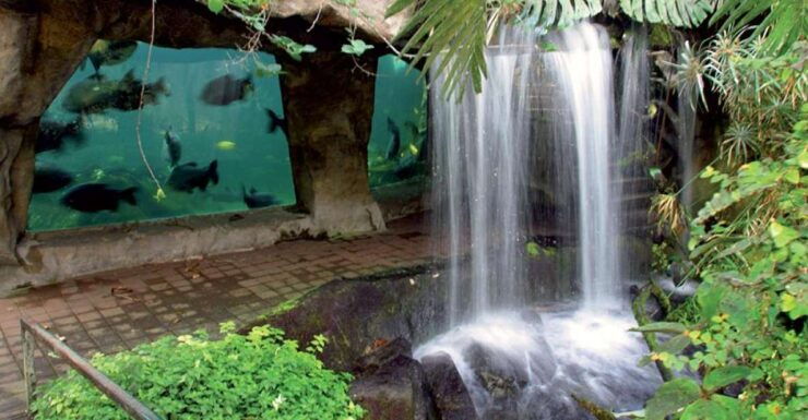 Zooparc De Beauval: Day Admission Ticket - Ticket Information