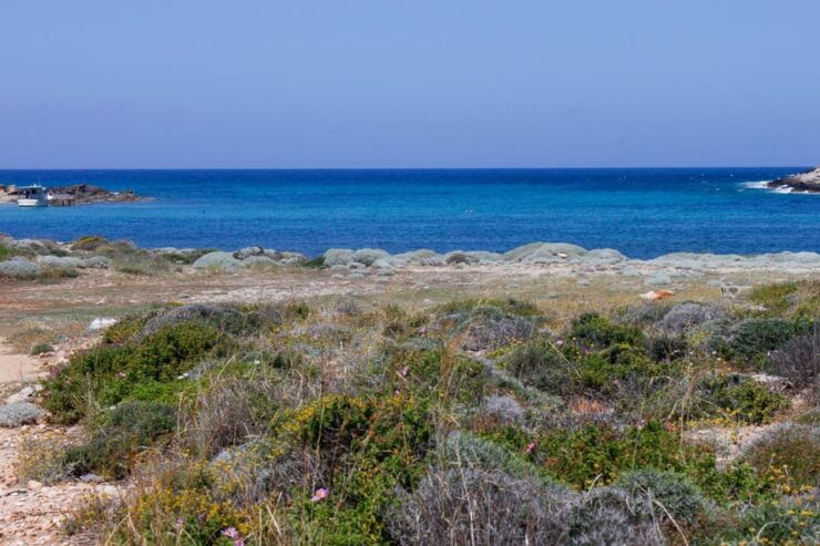 Zorbas the Greek Beach. Gouverneto Monastery Half Day Hiking - Detailed Itinerary
