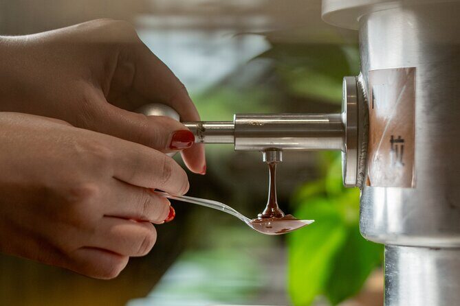 Zotter Chocolate Indulgence Tour in Shanghai - The Sum Up: Who Should Consider This Tour?