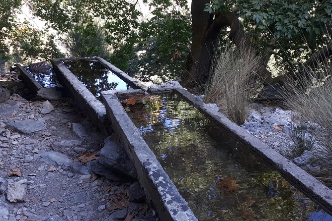 ZOURVA Totromarissa Adventure - Accessibility Information