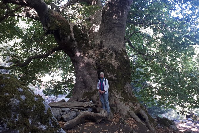 ZOURVA Totromarissa Adventure - Physical Fitness Requirements