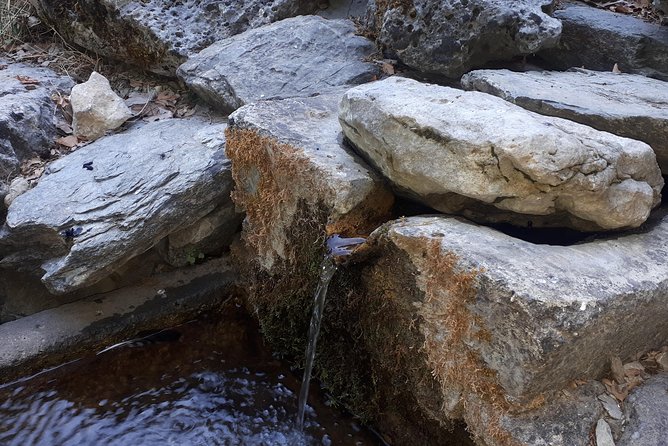 ZOURVA Totromarissa Adventure - Common Questions