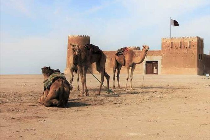 Zubara North Coast Tour in Qatar - Booking Process