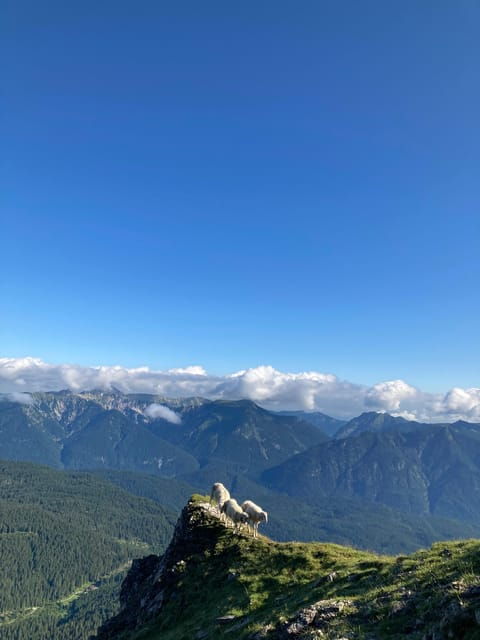 Zugspitze: Hiking Down via Gatterl to Ehrwald - Good To Know