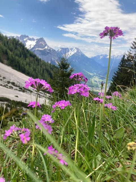 Zugspitze: Hiking Down via Gatterl to Ehrwald - Participant Restrictions