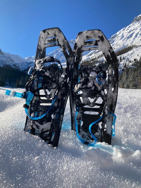 Zugspitze: Snow Shoe Tour and Instruction in Ehrwald - Experience Benefits