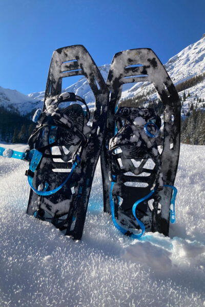 Zugspitze: Snow Shoe Tour and Instruction in Ehrwald - What to Expect on the Tour