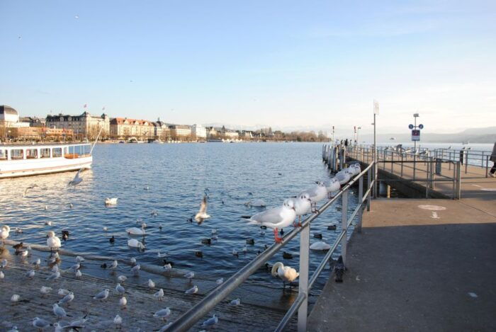 Zurich: 360° City Walk Including Hidden Spots - Tour Logistical Details