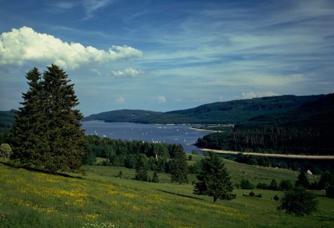 Zurich: Black Forest, Titisee, and Rhine Falls Bus Day Trip - Customer Reviews