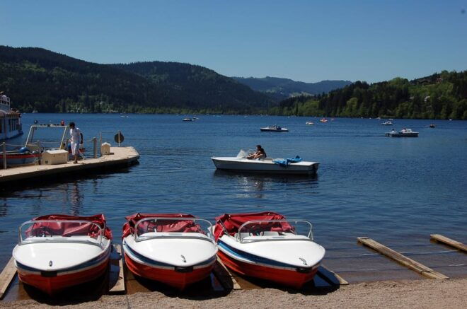 Zurich: Black Forest, Titisee, and Rhine Falls Bus Day Trip - What to Expect