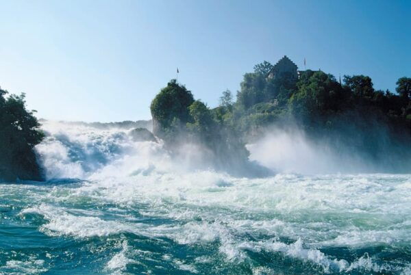 Zurich: Black Forest, Titisee, and Rhine Falls Bus Day Trip - Additional Activities