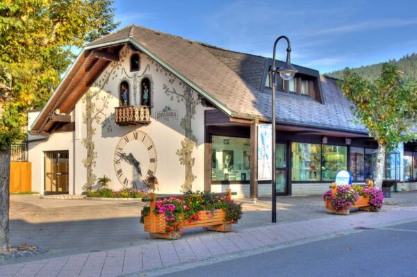 Zurich: Black Forest, Titisee, and Rhine Falls Bus Day Trip - Booking Information